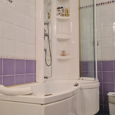 住宿加早餐酒店 Al N.9