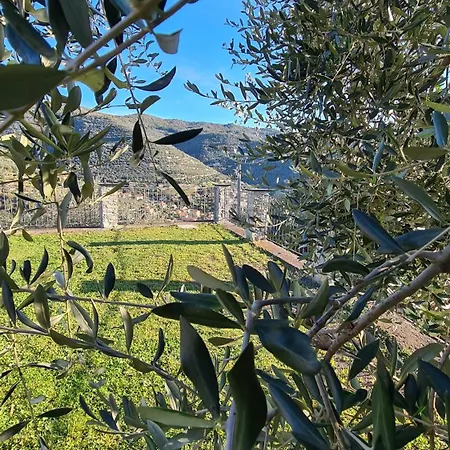 Al N.9 4* Pontedassio