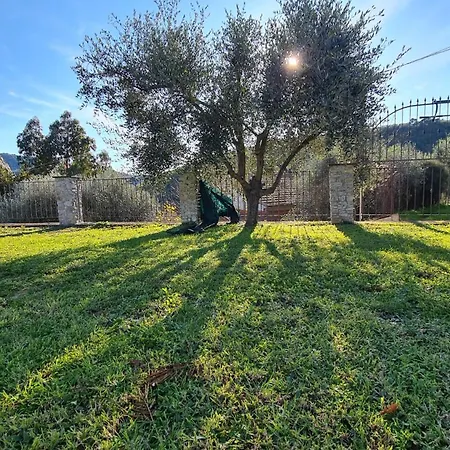 Al N.9 住宿加早餐酒店 4*