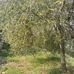 Bed & Breakfast Al N.9 Pontedassio
