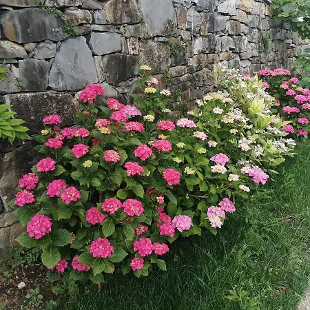 Al N.9 Couette-café