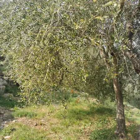 Couette-café Al N.9 Pontedassio