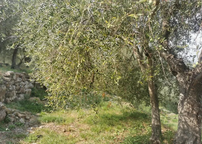 Bed & Breakfast Al N.9 Pontedassio